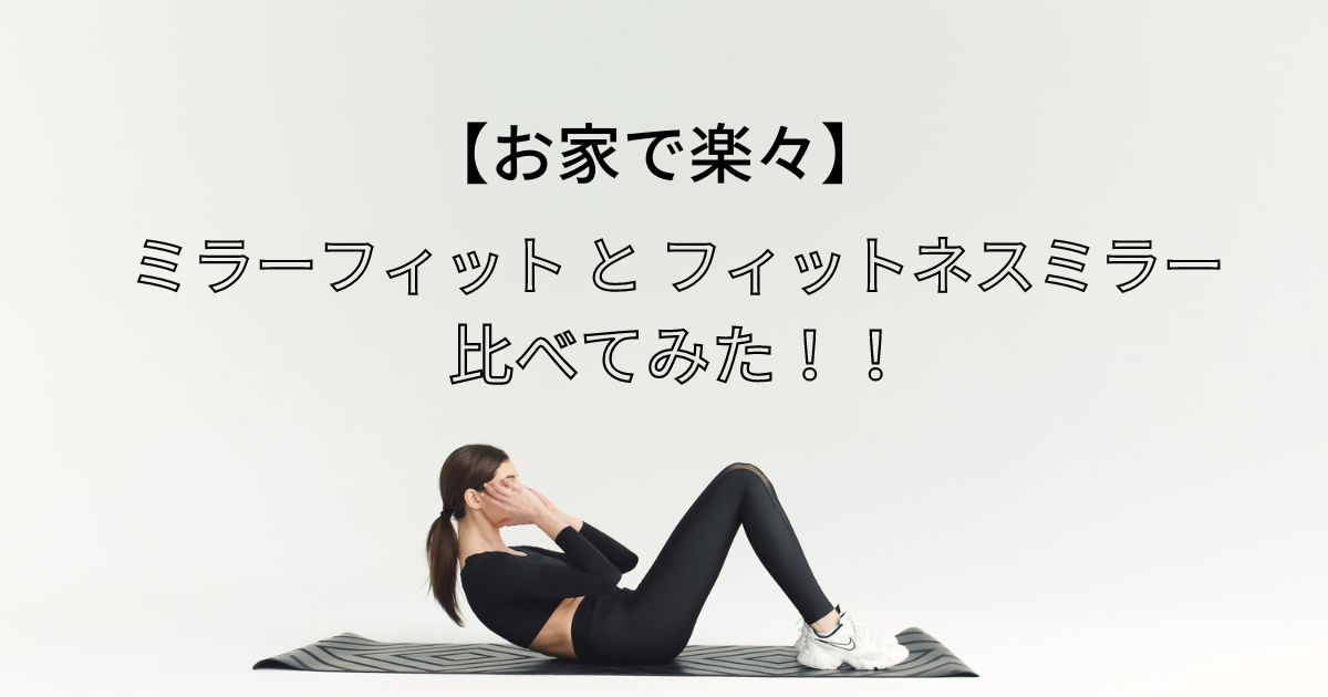 フィットネスミラー Fitness Mirror TE-630 - トレーニング用品